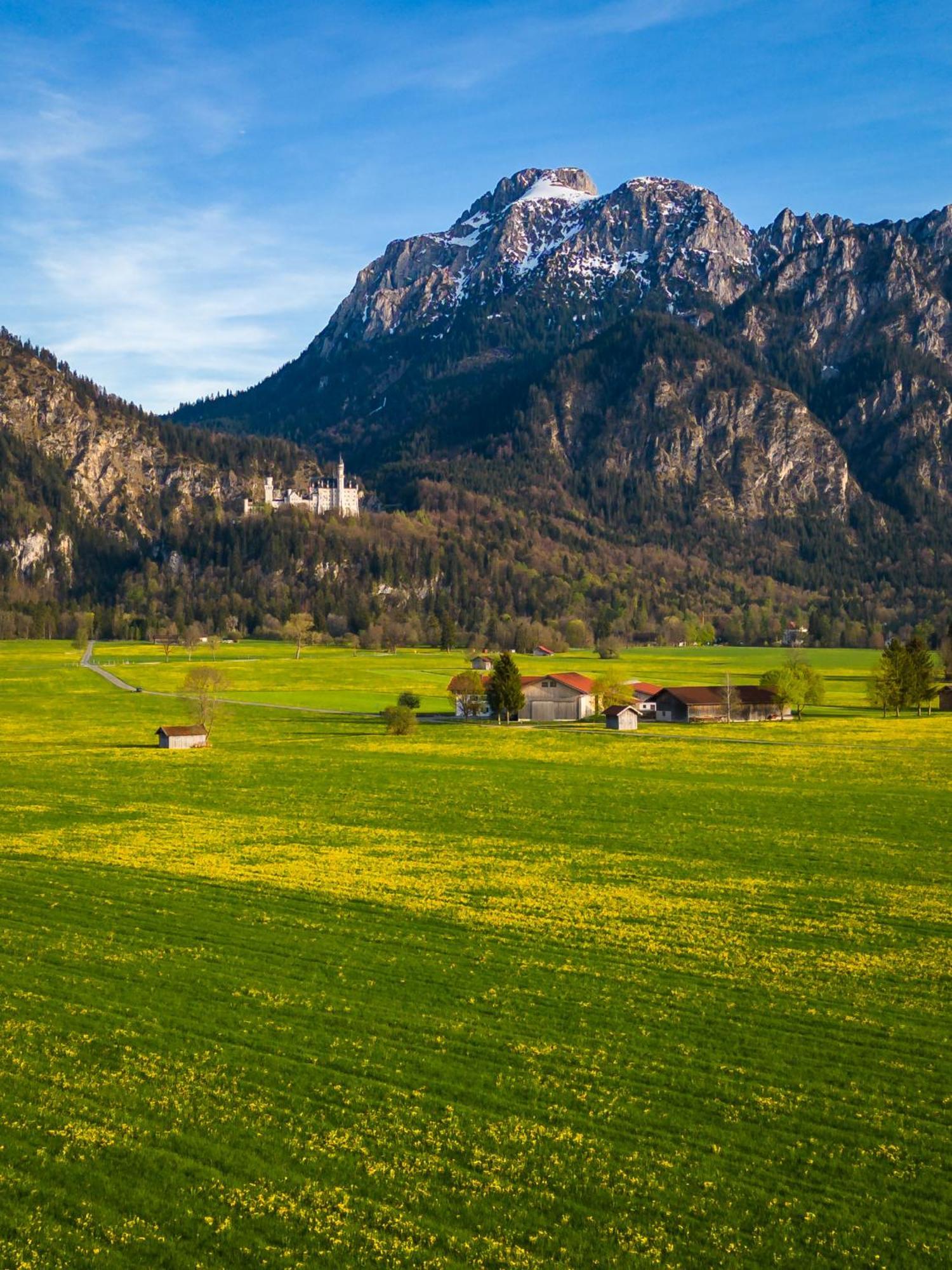 Villa Ludwig Boutique-Hotel Hohenschwangau Extérieur photo